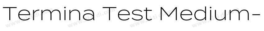 Termina Test Medium字体转换